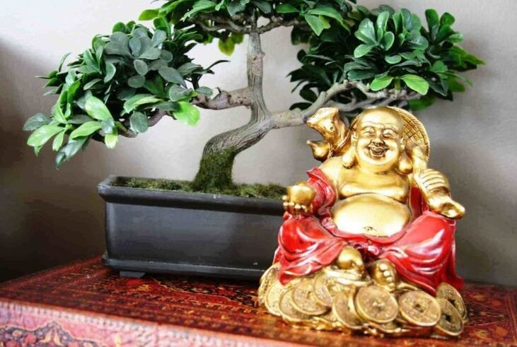 Laimė ir klestėjimas namuose pagal Feng Shui